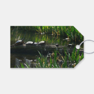 Étiquettes-cadeau Rangée de tortues Green Nature Photo