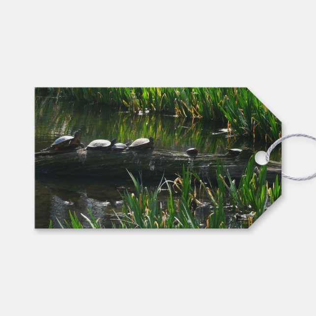 Étiquettes-cadeau Rangée de tortues Green Nature Photo (Devant (Horizontal))
