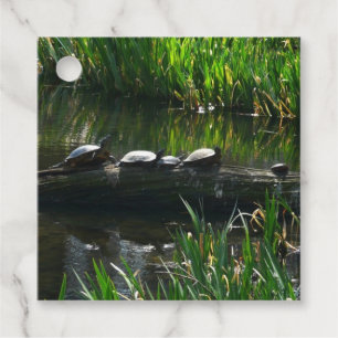 Étiquettes Cadeau Rangée de tortues Green Nature Photo