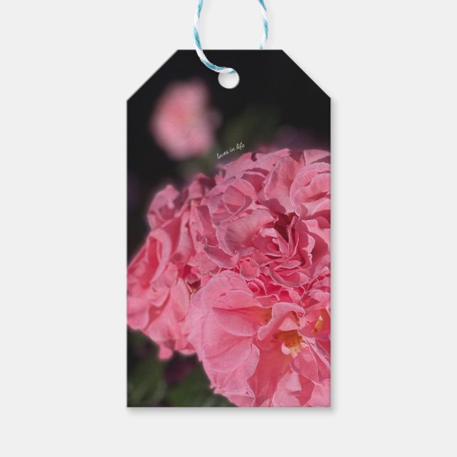 Étiquettes-cadeau Roses roses (Devant)