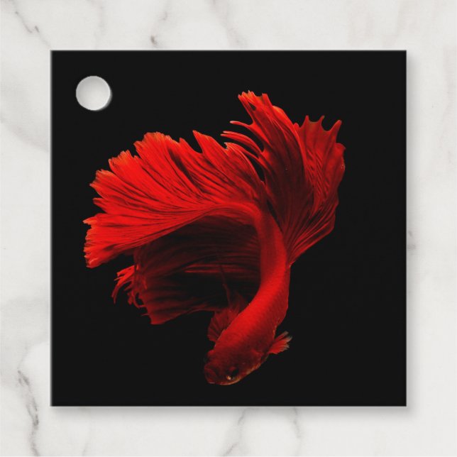 Étiquettes Cadeau Ruby Red Siamese Lutter contre le poisson (Devant)