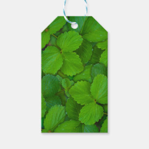 Étiquettes-cadeau Saint Basil Tulsi Green Mint Feuilles