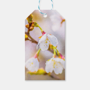 Étiquettes-cadeau Sakura - Fleur de cerisier japonaise