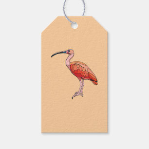 Étiquettes-cadeau Scarlet Ibis Bird Joyeux anniversaire