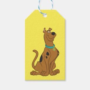 Étiquettes-cadeau Scooby-Doo Cuter Plus que mignonne