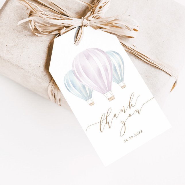 Étiquettes-cadeau Sexe Révéler rose et bleu chaud air ballon Favoris (Créateur téléchargé)