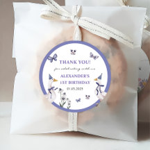 Soignée Goose fête d'anniversaire