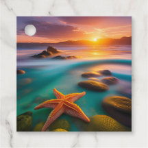 Starfish sur la plage à Dawn
