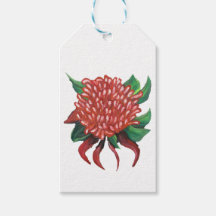 Stickers Waratah dessinés à la main