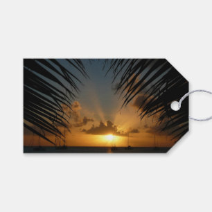 Étiquettes-cadeau Sunset Through Palm Fronds