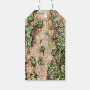 Étiquettes-cadeau Sycamore arbre écorce mousse Lichen