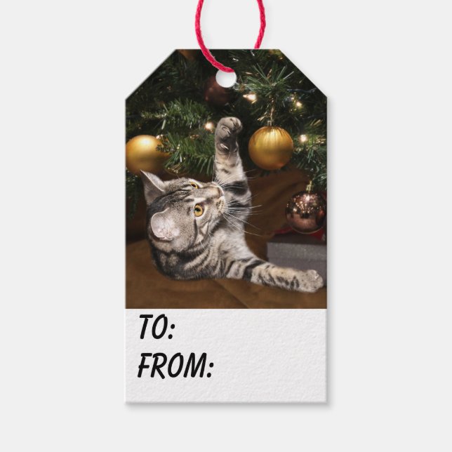 Étiquettes-cadeau Tabby kitty cat Noël (Devant)