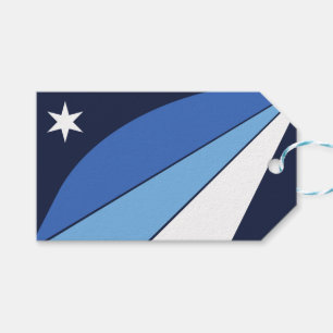 Étiquettes-cadeau Tag cadeau avec drapeau de Columbia, SC