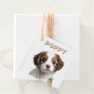 Étiquettes Cadeau Tags favoris photo et nom du chien personnalisé