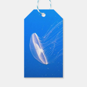 Étiquettes-cadeau Tentacules de méduses