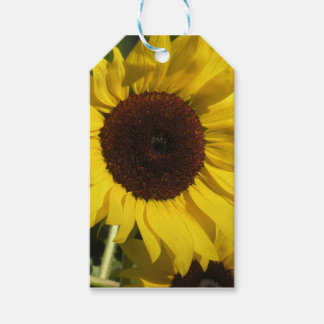 Étiquettes-cadeau Tournesol