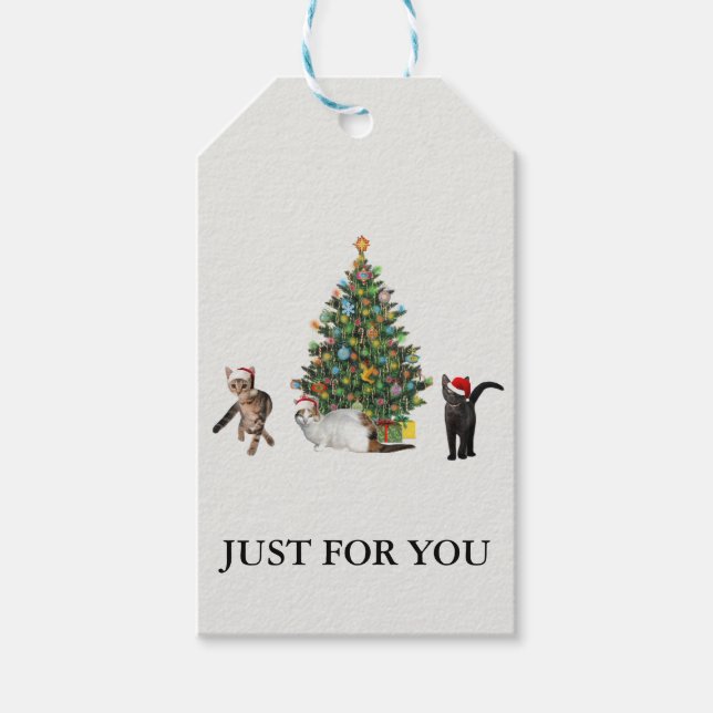 Étiquettes-cadeau Trois Chats Santas (Devant)