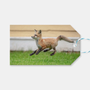 Étiquettes-cadeau Trousse Red Fox dans la vallée de l'Hudson