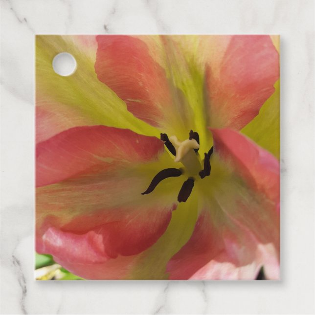 Étiquettes Cadeau Tulipe rose et jaune (Devant)