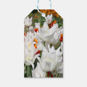 Étiquettes-cadeau Tulipes blanches et gingembre dans le jardin