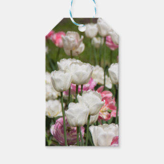 Étiquettes-cadeau Tulipes blanches et roses brillantes par jour enso