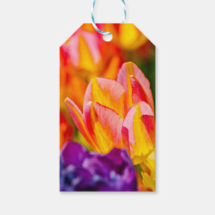 Étiquettes-cadeau Tulipes Enchantant