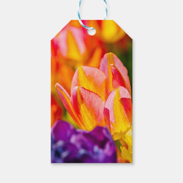 Étiquettes-cadeau Tulipes Enchantant (Devant)
