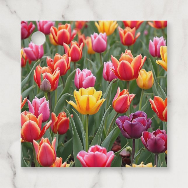 Étiquettes Cadeau Tulipes néerlandaises (Devant)