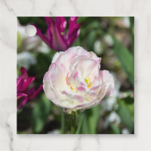Étiquettes Cadeau Tulipes rose vif par jour ensoleillé