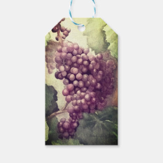 Étiquettes-cadeau Vineyard