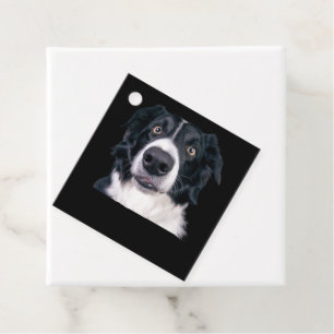 Étiquettes Cadeau Visage de chien noir et blanc
