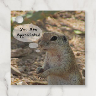 Étiquettes Cadeau Vous Êtes Apprécié Écureuil Terrestre Animal Merci