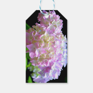 Étiquettes-cadeau Whisper du matin - Hydrangeas