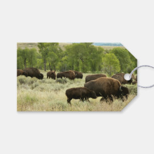 Étiquettes-cadeau Wyoming Bison Nature Animal Photographie