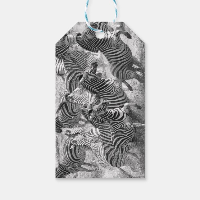 Étiquettes-cadeau Zebras running (Devant)