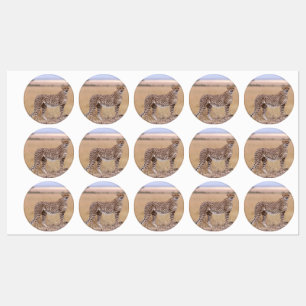 Étiquettes Cheetah