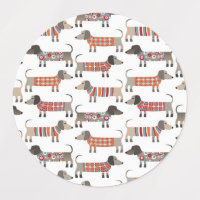 Chien de saucisse Dachshund