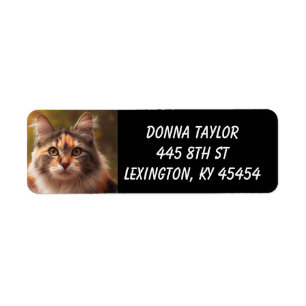 ÉTIQUETTES D'ADRESSE DE RETOUR CALICO CAT