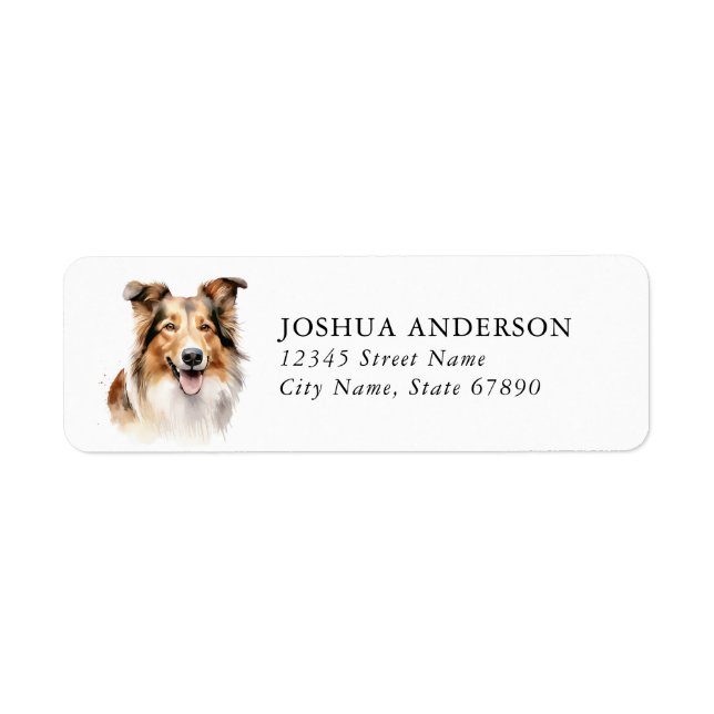 Étiquettes d'adresse de retour Collie (Devant)