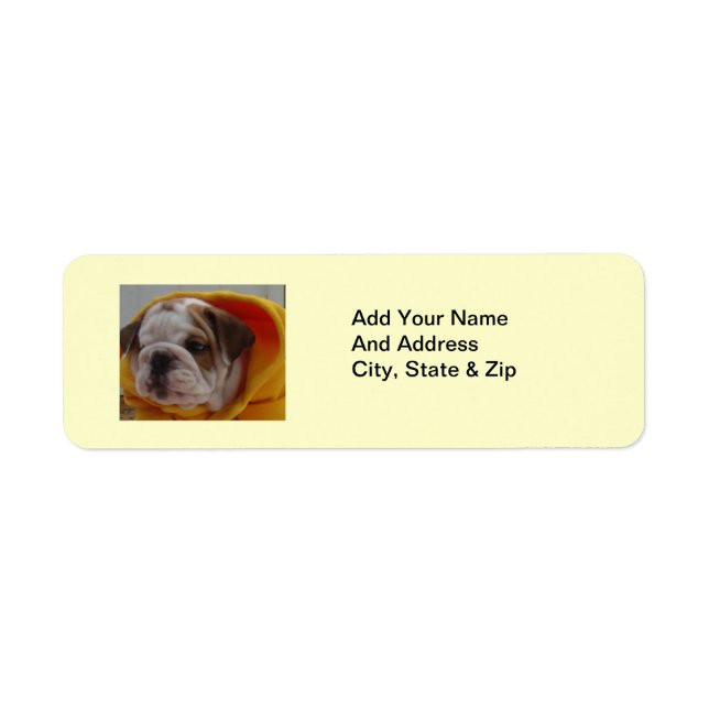 Étiquettes d'adresse de retour de Bulldog Puppy an (Devant)