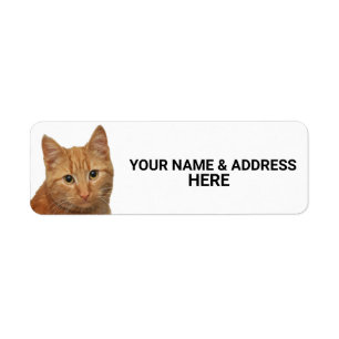 ÉTIQUETTES D'ADRESSE DE RETOUR DE CHAT GINGEMBRE