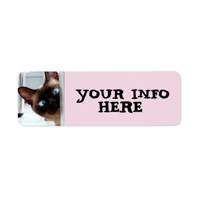ÉTIQUETTES D'ADRESSE DE RETOUR DE CHAT SIAMÉEN (Devant)