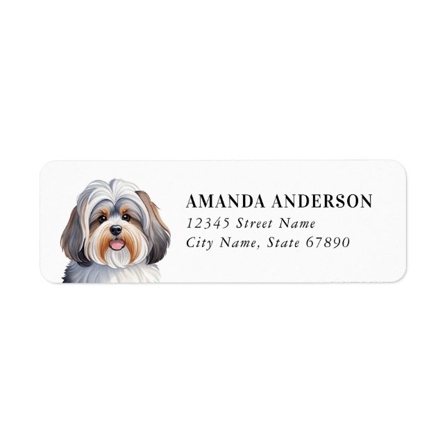Étiquettes d'adresse de retour de chien Havanais (Devant)