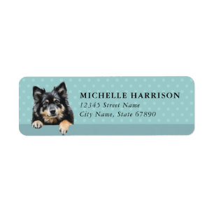 Étiquettes d'adresse de retour de chien Lapon finn
