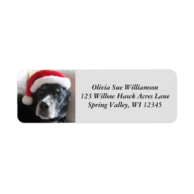 Étiquettes d'adresse de retour de chien Père Noël  (Devant)