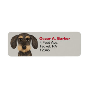 Étiquettes d'adresse de retour de Dachshund À poil