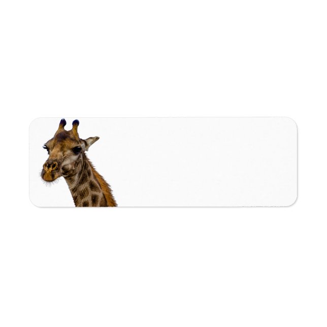 Étiquettes d'adresse de retour de girafe (Devant)