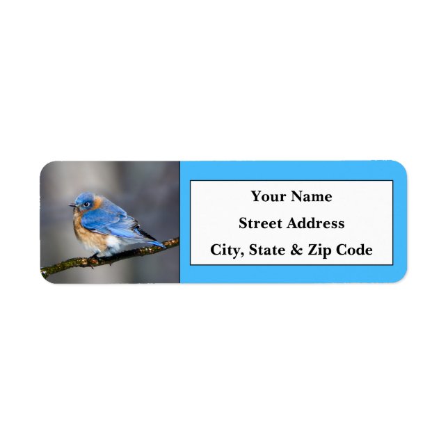 Étiquettes d'adresse de retour de l'oiseau bleu de (Devant)