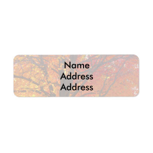 Étiquettes d'adresse de retour de lumière de l'aut