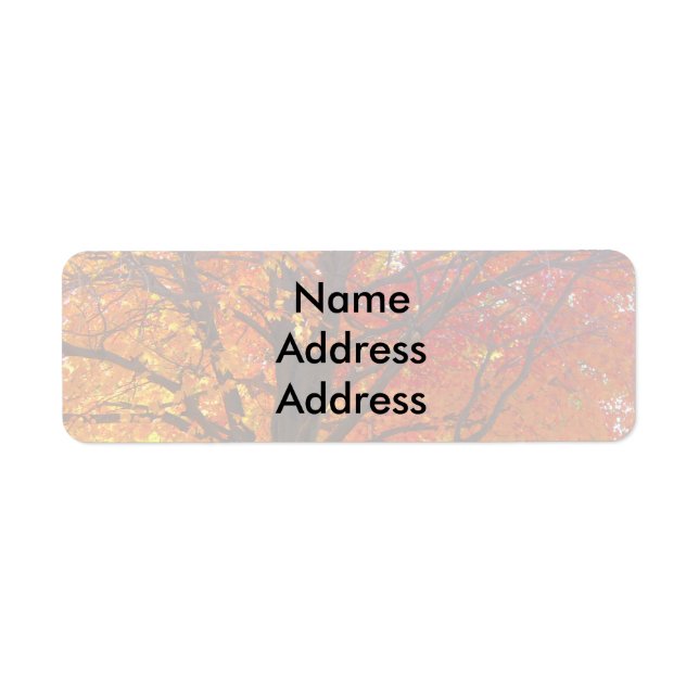 Étiquettes d'adresse de retour de lumière de l'aut (Devant)